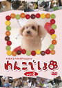 「売り尽くし」わんこでしょ 2【趣味、実用 中古 DVD】メール便可 ケース無::