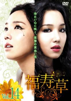 「売り尽くし」福寿草 14(第40話〜第42話) 字幕のみ【洋画 中古 DVD】メール便可 ケース無:: レンタル落ち