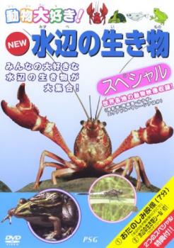 「売り尽くし」NEW 水辺の生き物 ス