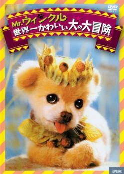 楽天バンプ【ご奉仕価格】Mr.ウィンクル 世界一かわいい犬の大冒険 字幕のみ【洋画 中古 DVD】メール便可 レンタル落ち