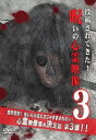 投稿されてきた! 呪いの心霊映像 3【邦画 中古 DVD】メール便可 ケース無:: レンタル落ち