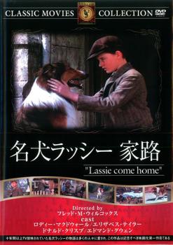 「売り尽くし」名犬ラッシー 家路 字幕のみ【中古 DVD】メール便可