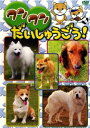 「売り尽くし」ワンワンだいしゅうごう【その他、ドキュメンタリー 中古 DVD】メール便可 ケース無:: レンタル落ち