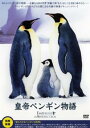 「売り尽くし」皇帝ペンギン物語【その他、ドキュメンタリー 中古 DVD】メール便可 ケース無:: レンタル落ち