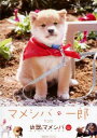 マメシバ・一郎 from 幼獣マメシバ【邦画 中古 DVD】メール便可 ケース無:: レンタル落ち