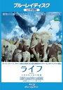 ライフ いのちをつなぐ物語 ブルーレイディスク【その他、ドキュメンタリー 中古 Blu-ray】メール便可 ケース無:: レンタル落ち
