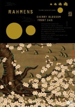 ڤŲʡۥ顼 11 CHERRY BLOSSOM FRONT 345ڤФ  DVDۥ᡼ز