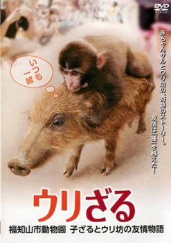 【ご奉仕価格】ウリざる 福知山市動物園 子ざるとウリ坊の友情物語【邦画 中古 DVD】メール便可 レンタル落ち