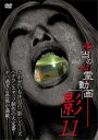 本当の心霊動画 影 11【邦画 中古 DVD】メール便可 レンタル落ち