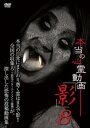 本当の心霊動画 影 8【邦画 中古 DVD】メール便可 レンタル落ち