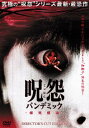 「売り尽くし」呪怨 パンデミック ディレクターズカット・エディション【洋画 中古 DVD】メール便可 ケース無:: レンタル落ち