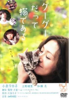 【ご奉仕価格】グーグーだって猫である【邦画 中古 DVD】メール便可 レンタル落ち