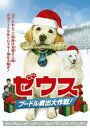 「売り尽くし」ゼウス プードル救出大作戦!【洋画 中古 DVD】メール便可 ケース無:: レンタル落ち