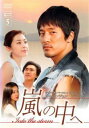 【売り尽くし】嵐の中へ 5(第9話〜第10話) 字幕のみ【洋画 中古 DVD】メール便可 ケース無:: レンタル落ち