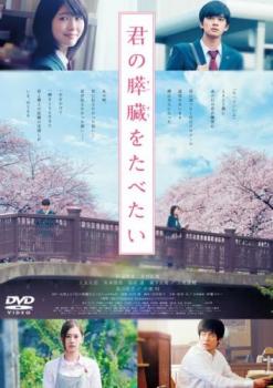 君の膵臓をたべたい【邦画 中古 DVD】メール便可 レンタル落ち