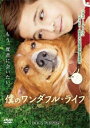 僕のワンダフル・ライフ【洋画 中古 DVD】メール便可 レンタル落ち