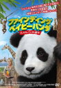 ファインディング ベイビー パンダ くしゃみパンダを探せ!【洋画 中古 DVD】メール便可 レンタル落ち