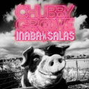 CHUBBY GROOVE 通常盤【CD 音楽 中古 CD】メール便可 ケース無:: レンタル落ち