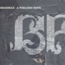 【売り尽くし】A FORLORN HOPE【CD、音楽 中古 CD】メール便可 ケース無:: レンタル落ち