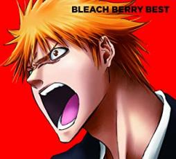 BLEACH BERRY BEST CD+DVD 期間生産限定盤【中古 CD】ケース無:: レンタル落ち