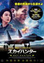 スカイハンター【洋画 中古 DVD】メール便可 レンタル落ち