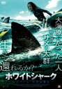 【ご奉仕価格】ホワイトシャーク【洋画 中古 DVD】メール便可 レンタル落ち