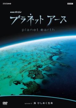 &nbsp;JAN&nbsp;4988102269333&nbsp;品　番&nbsp;GNBR7497&nbsp;出　演&nbsp;緒形拳&nbsp;制作年、時間&nbsp;2006年&nbsp;59分&nbsp;製作国&nbsp;日本&nbsp;メーカー等&nbsp;NBCユニバーサル・エンターテイメントジャパン&nbsp;ジャンル&nbsp;趣味、実用／カルチャー／動物／その他&nbsp;カテゴリー&nbsp;DVD&nbsp;入荷日&nbsp;【2023-12-27】【あらすじ】NHKとBBCが5年の歳月をかけて撮影・制作した自然ドキュメンタリー。本作では、海の浅瀬に広がる、めくるめく生命の世界を紹介。波に乗って次々とジャンプするイルカ、捕食に集まるウミヘビの大群、“人魚”ジュゴンの様子などを捉える。※ジャケット(紙)には、バーコード・管理用シール等が貼ってある場合があります。レンタル落ちの中古品ですディスクはクリーニングを行い出荷します