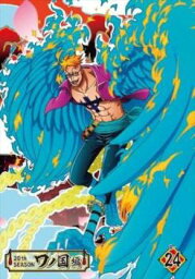 【売り尽くし】ONE PIECE ワンピース 20thシーズン ワノ国編 R-24(第987話～第990話)【アニメ 中古 DVD】メール便可 レンタル落ち