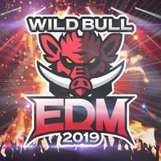 「売り尽くし」Wild Bull EDM 2019【CD、