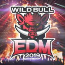 Wild Bull EDM 2019【CD、音楽 中古 CD】メール便可 ケース無:: レンタル落ち