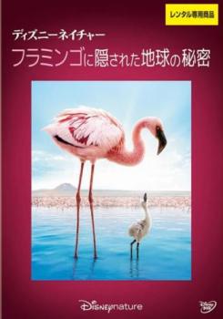 【ご奉仕価格】ディズニーネイチャー フラミンゴに隠された地球の秘密【その他、ドキュメンタリー 中古..