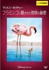 【ご奉仕価格】ディズニーネイチャー フラミンゴに隠された地球の秘密【その他、ドキュメンタリー 中古 DVD】メール便可 レンタル落ち