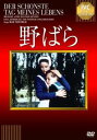 野ばら 字幕のみ【洋画 中古 DVD】メール便可 レンタル落ち