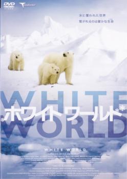 【訳あり】ホワイトワールド ※ディスクのみ【洋画 中古 DVD】メール便可 ケース無:: レンタル落ち