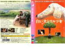 【バーゲンセール】【訳あり】白い犬とワルツを ※ディスクのみ【邦画 中古 DVD】メール便可 ケース無:: レンタル落ち