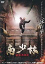 南少林 詠春拳誕生【洋画 中古 DVD】メール便可 レンタル落ち