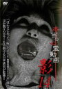 本当の心霊動画 影 14【邦画 中古 DVD】メール便可 レンタル落ち