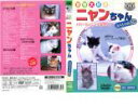 【バーゲンセール】【訳あり】ニャンちゃんスペシャル50 ※ディスクのみ【趣味、実用 中古 DVD】メール便可 ケース無::