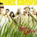True Links【CD、音楽 中古 CD】メール便可 ケース無:: レンタル落ち