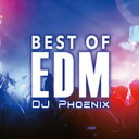 【ご奉仕価格】BEST OF EDM【CD、音楽 中古 CD】メール便可 ケース無:: レンタル落ち