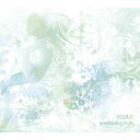 【ご奉仕価格】everlasting truth【CD、音楽 新古:未使用 CD】メール便可