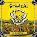 【訳あり】BIG BEACH BOOTIQUE 5 CD+DVD ※状態に難あり【CD、音楽 新古:未使用 CD】メール便可
