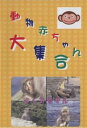 「売り尽くし」動物赤ちゃん大集合 7 よくみるサル【趣味、実用 中古 DVD】メール便可 ケース無::