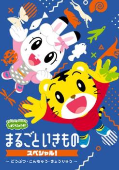 しまじろうのわお! まるごと いきものスペシャル! どうぶつ・こんちゅう・きょうりゅう【趣味、実用 中古 DVD】メール便可 ケース無:: レンタル落ち