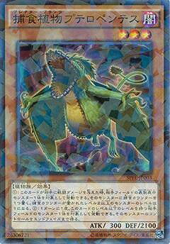 Хפ㤨ͷOCG ǥ奨󥹥 Ῡʪץƥڥƥ SPFE SPFE-JP003 NP šۡפβǤʤ18ߤˤʤޤ