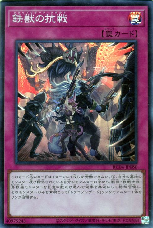 ͷ����OCG �ǥ奨���󥹥����� Ŵ�äι��� RC04 RC04-JP080 SR ����š�