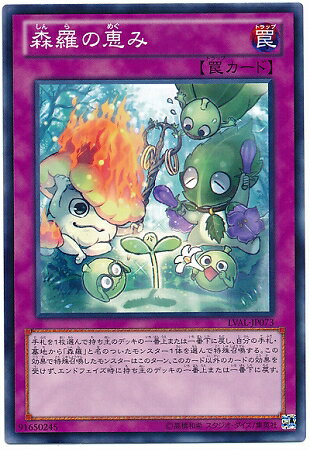 遊戯王OCG デュエルモンスターズ 森羅の恵み LVAL LVAL-JP073 【中古】