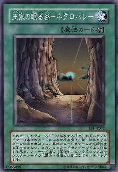 北米版 王家の眠る谷－ネクロバレー 51J1UdTeDyL._AC_UF350,