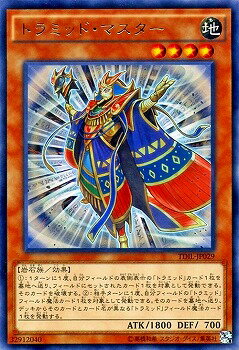 ͷ����OCG �ǥ奨���󥹥����� �ȥ�ߥåɡ��ޥ����� TDIL TDIL-JP029 R ����š�