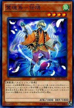 ͷ����OCG �ǥ奨���󥹥����� �Ļ-��ȷ RATE RATE-JP024 ����š�